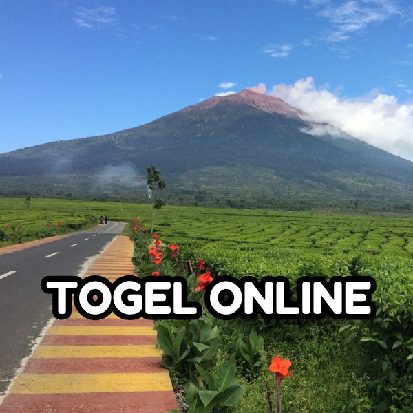 TOGEL ONLINE